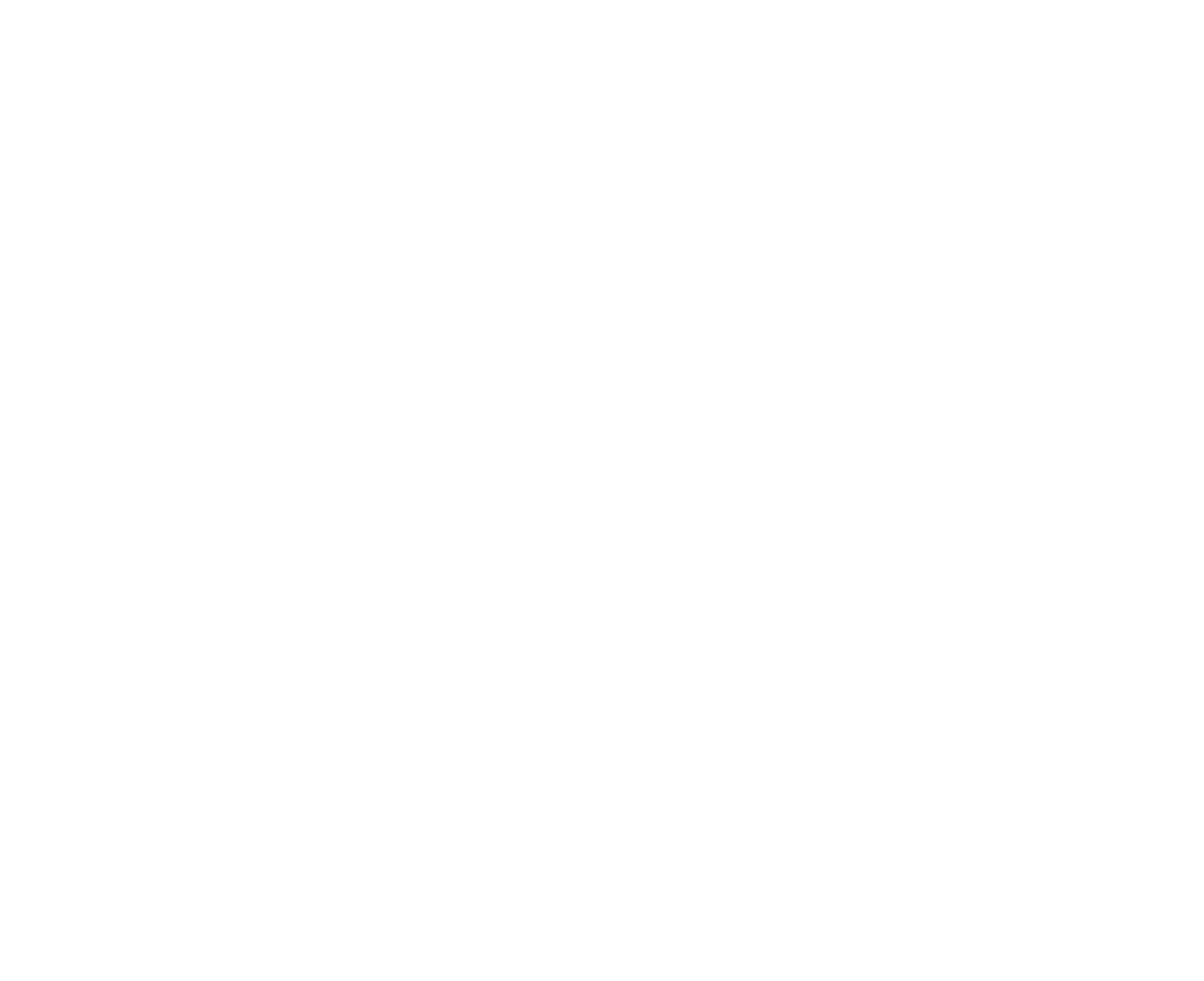 AI Solutions & Strategy